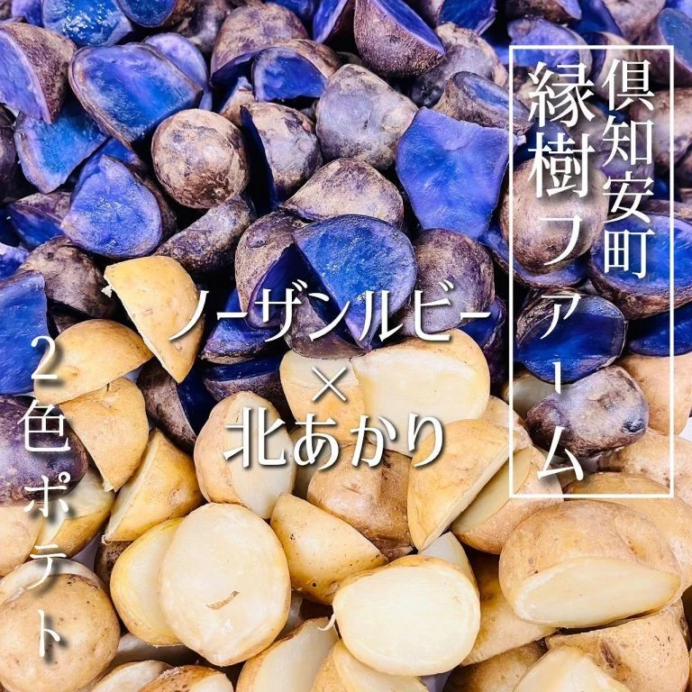 【北海道応援クーポン利用可能店🙋🏻♂️】