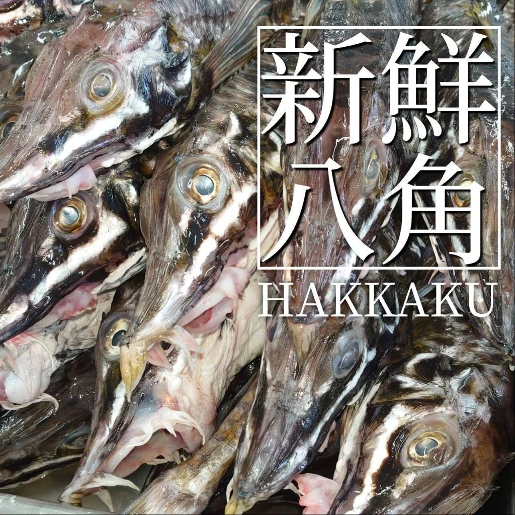 【喫煙OK】札幌狸小路周辺で宴会ができるお店をお探しなら！