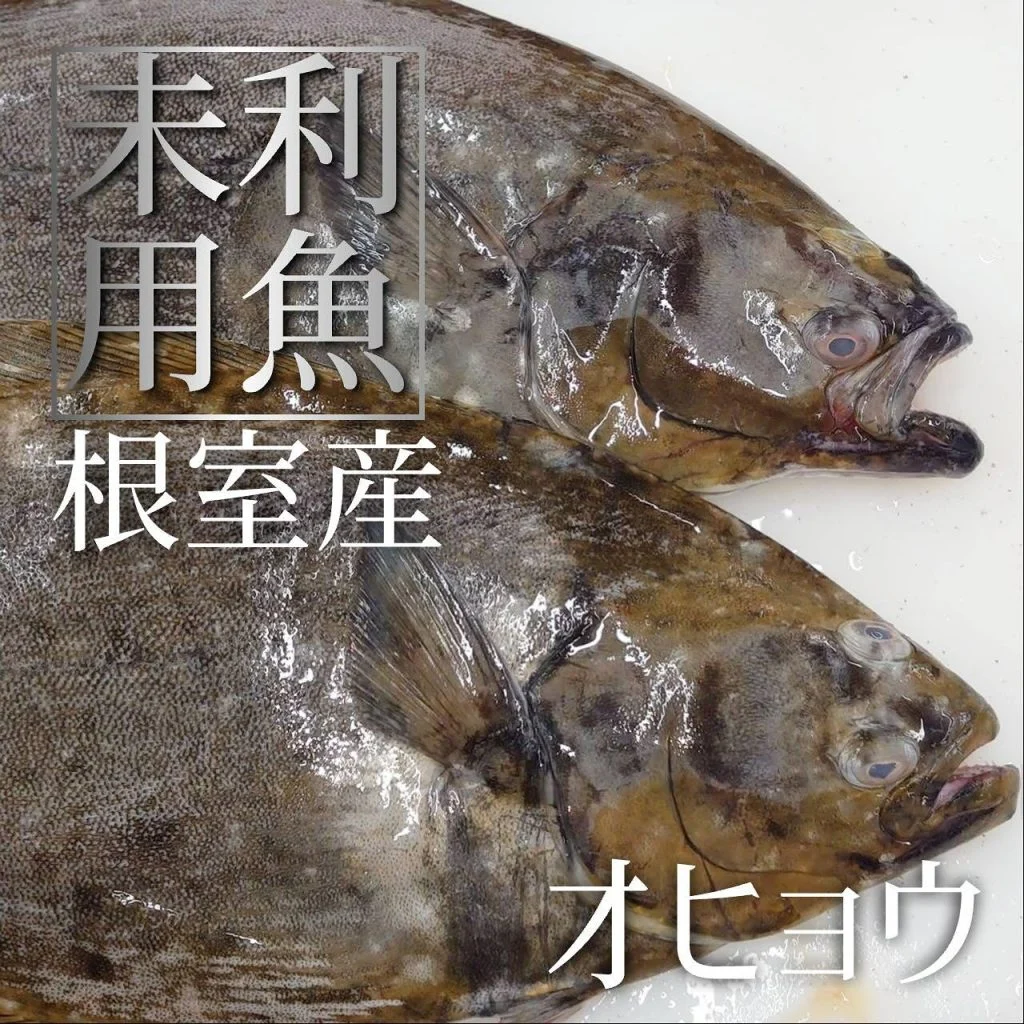 【喫煙OK】札幌狸小路周辺で宴会ができるお店をお探しなら！