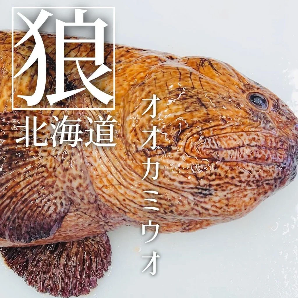 【喫煙OK】札幌狸小路周辺で宴会ができるお店をお探しなら！