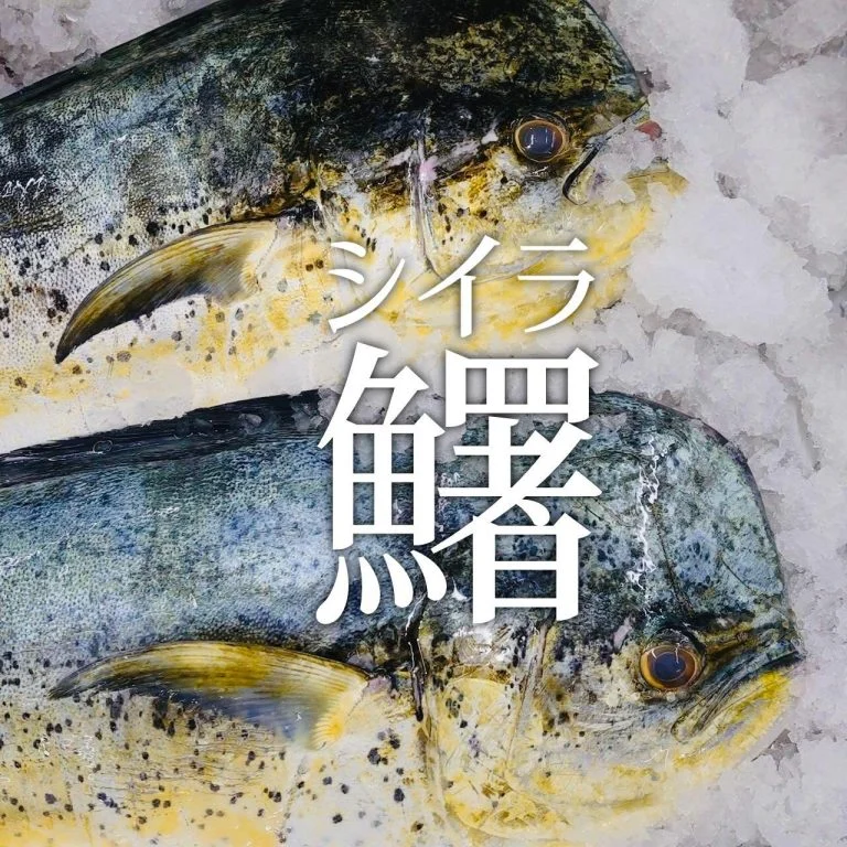 【喫煙OK】札幌狸小路周辺で宴会ができるお店をお探しなら！