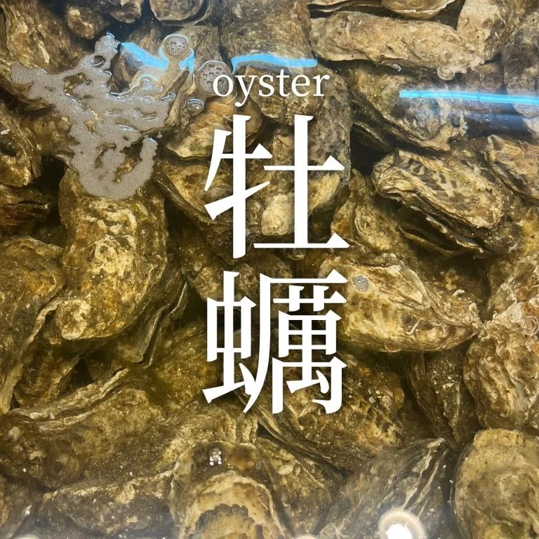 【喫煙OK】札幌狸小路周辺で宴会ができるお店をお探しなら！
