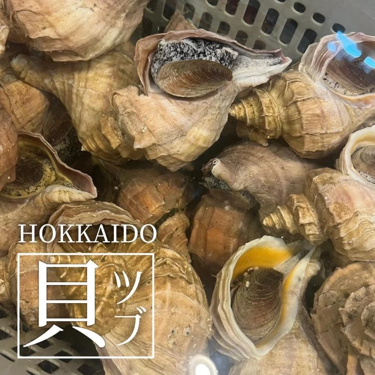 【喫煙OK】札幌狸小路周辺で宴会ができるお店をお探しなら！
