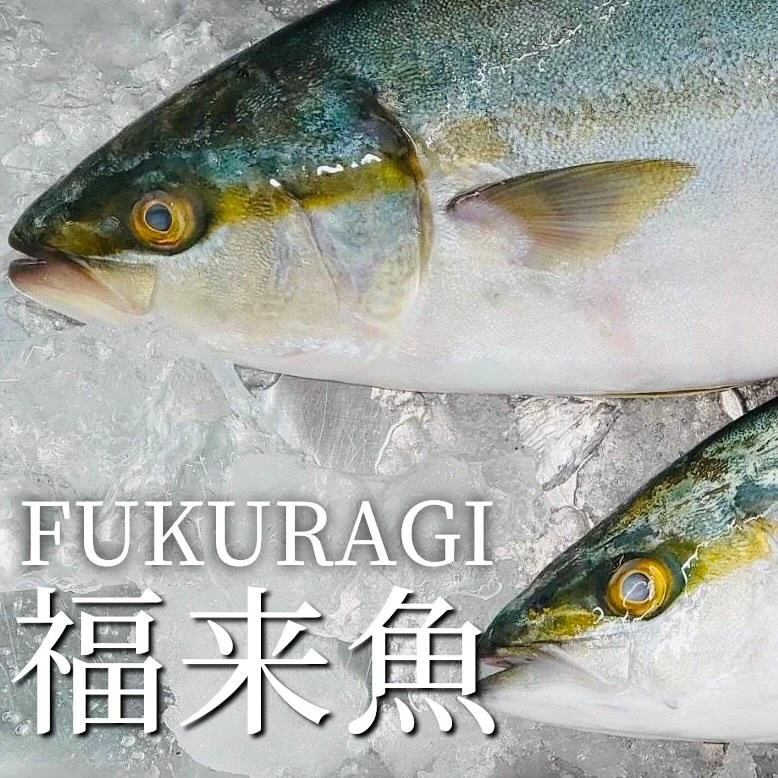 【忘年会予約開始】